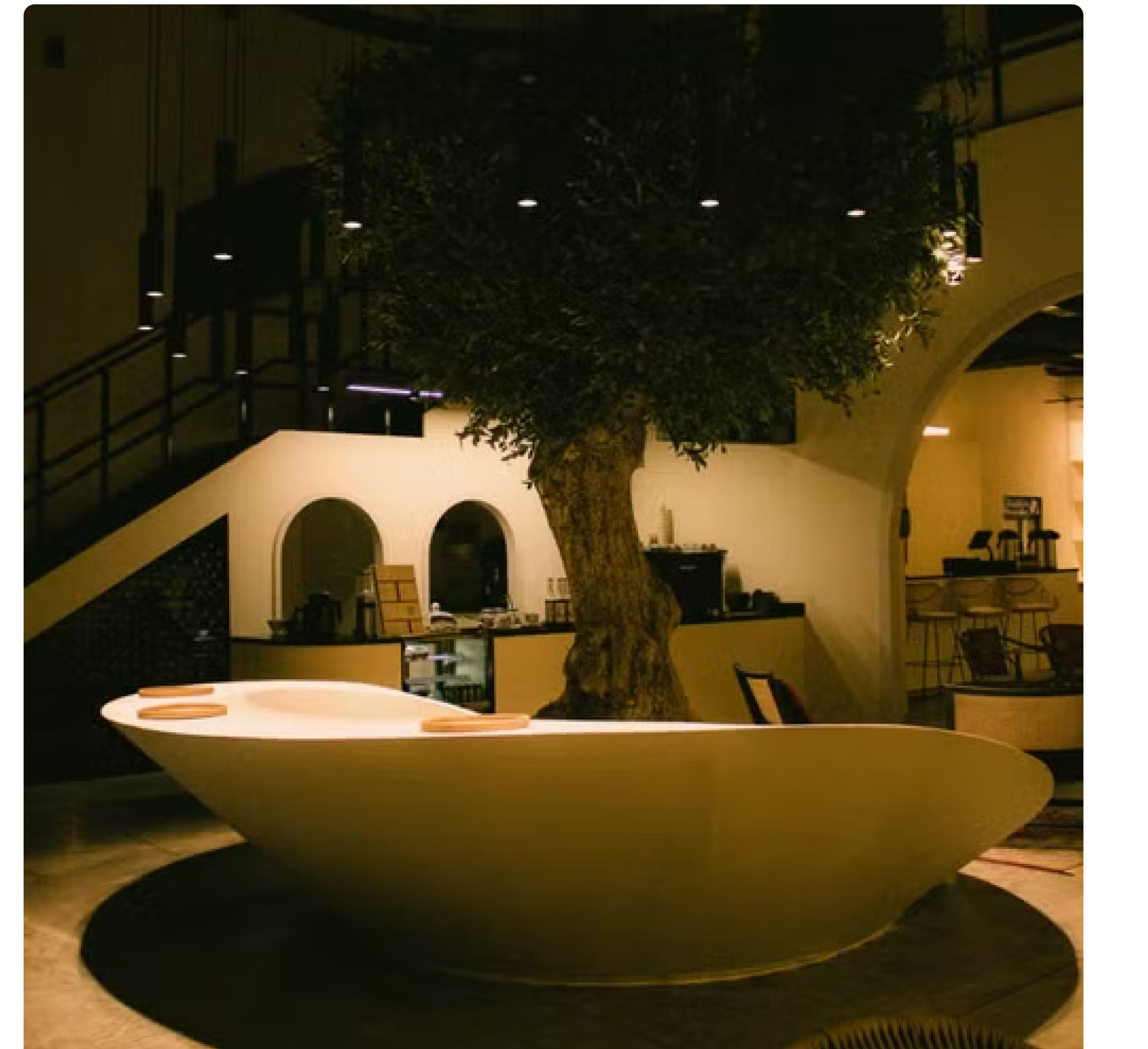 Sculptural atrium with a central tree